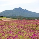 주식회사 코랩 이미지