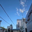 인사이트를 찾아 떠나는 비즈니스 트립 | 대마도 이즈하라 숙소 호텔 벨포레 이용 후기 일본 소도시 여행 추천