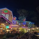 숲속통나무 이미지