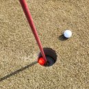 피닉스 골프 클럽 이미지