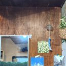 성환역앞도로 이미지