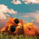 서재동물병원 이미지