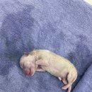 온 동물의료센터 이미지