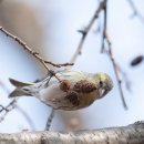 고향머리방 이미지