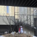 서울나은병원 | [B] 출산준비_임신 28주차, 31주차 이대서울병원 정기검진 후기