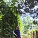 호암산 2. 이미지
