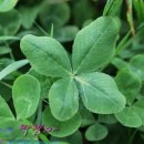 정산빌딩 이미지