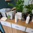 애니브리즈 이미지