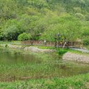 운곡생태습지길 1코스 이미지