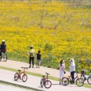 낙동강체육공원 자전거대여소 이미지