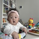 노랑통닭(예산점) | 2025년 12월 (1) 연말 맞이 준비