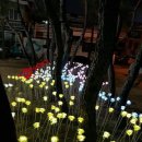 대왕시스템의 울산 옥성공원 LED장미 설치현장. 함께 보실까요? 이미지
