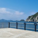 여울애견펜션 이미지