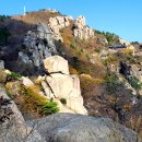 금산-21 Daum카페