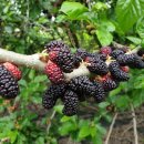 석현농장 이미지