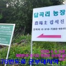 와초리농장 Daum카페