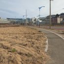 2023년 4월의 대구한의대학교