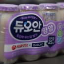 서울우유 듀오안 얌얌 찐 후기