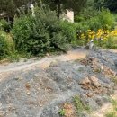 근덕초 노곡분교장 이미지