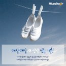 운동화빨래방 이미지