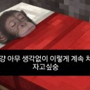 서울김투어