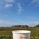 요망진밥상 이미지