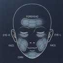 웰스콥코리아 이미지