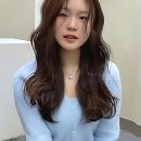 행복미소 동물약국 | 헉, 드디어 머리 뽕 뽑았다! 아스트룸헤어 접수 후기