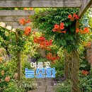 ​양반꽃 능소화 꽃말 의미, 순천향교 골목과 구례 쌍산재 무우루 추천