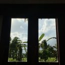 에덴하우스(Eden House)