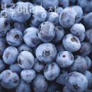 형민농장 이미지