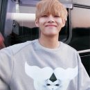 그리더 Daum카페