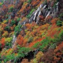 덕산면060 Daum카페