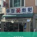 유정화원 네이버블로그