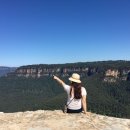 블루마운틴 이미지