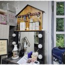 퍼피살롱 이미지