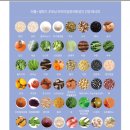 (이롬)황성주생식 이미지