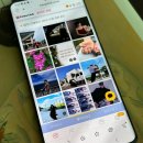 주니퍼니 이미지