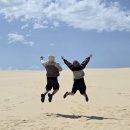 뉴디에스팜(주) | [공지] [4박6일 호주 시드니] 3월 날씨, 옷차림, 꿀팁 공유