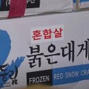 동해안 붉은 대게 이미지