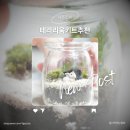 책상 위의 작은 정원, 테라리움 만들기 | 테라리움키트 이끼 테라리움재료 반려 식물키우기