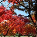 2025 추수감사절 대표기도 이미지