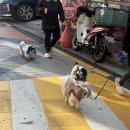 감성커피 마포성산점