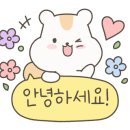 두둥이헤어