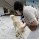 친구수산 이미지