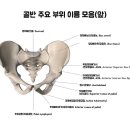 요가유토피아