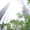 (주)양지약품 이미지