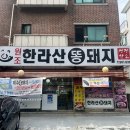한라산똥돼지