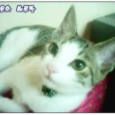 간석3동-10 이미지