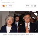 강경화 외교부 장관, 김현종과 다툼 ‘사실상 시인’ 이미지